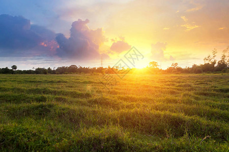 田野里的阳光明媚的黎明图片