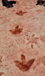 恐龙足迹这些恐龙足迹形成于侏罗纪早期图片