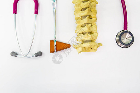 近距离的听诊器膝骨干和脊椎模型图片