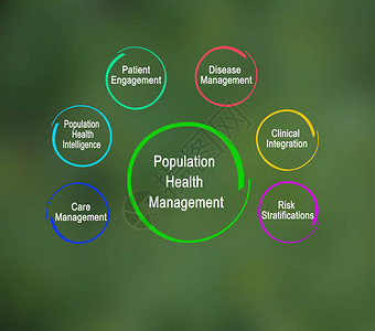 人口健康管理的组成部分图片