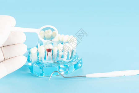 在口腔保健概念中牙科检查与图片