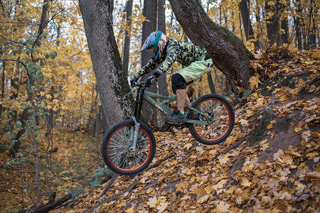 身着头盔骑脚踏车运动员在秋天森林的轨道图片