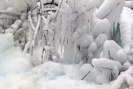 树枝冻在冰里冰冻的树枝在冬季森林中冰冻的瀑布图片