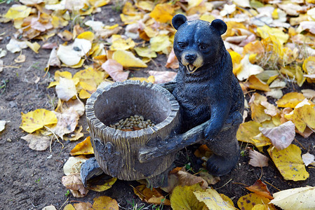 秋天森林公园的熊木图图片