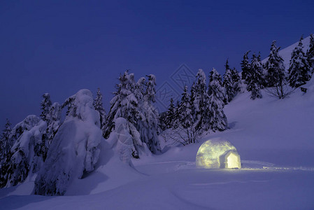 夜晚的冬季风景与冰雪美丽的风景雪中图片