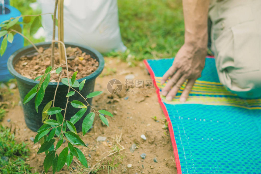 志愿者准备植树纪念图片