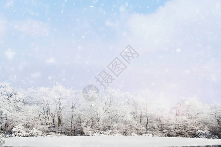 雪的模糊背景轻地落在雪覆盖的树木的冬季景观上图片