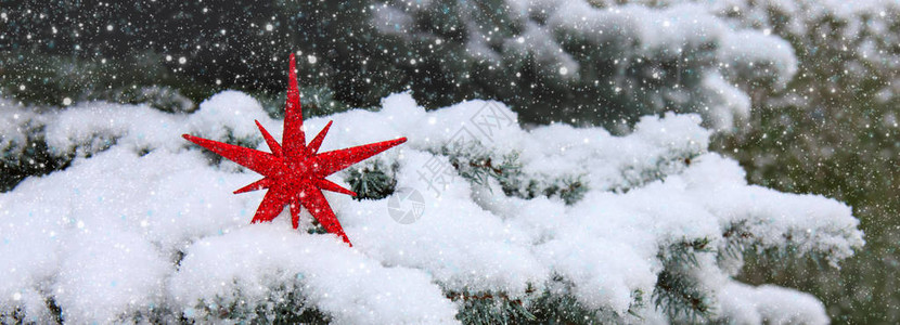 雪花树枝和圣诞红星在雪上圣诞图片