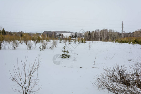 早春的雪在田野上图片