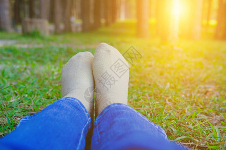 脚躺在松树林绿草上休息图片