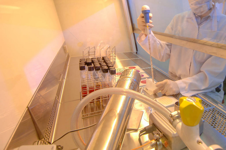 现代食品实验室科学家通过在试管中使用滴管合成化图片