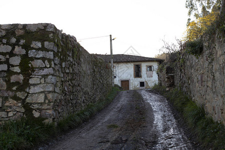 泥泞的小路和房子图片