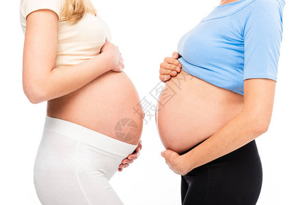两名孕妇的剖面显示腹腔与白图片