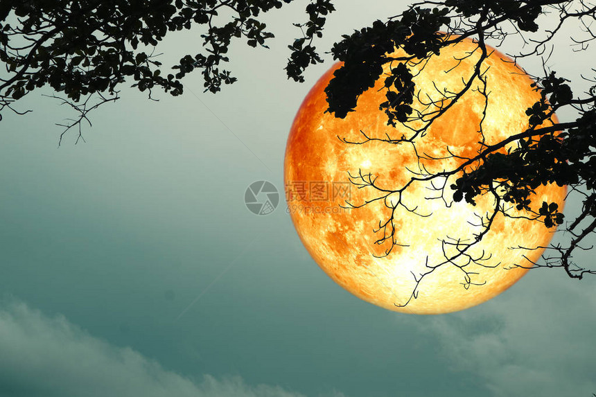 超级满血红月在夜空中飘浮图片