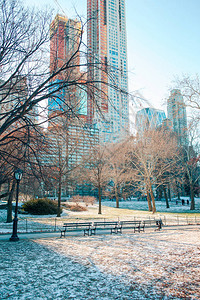 美国纽约市中央公园冬图片
