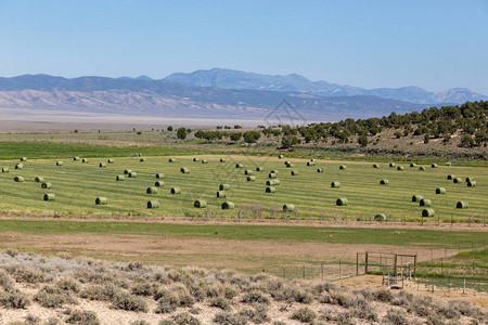 美国50号公路沿线的农业是美国的一条横贯大陆的公路图片