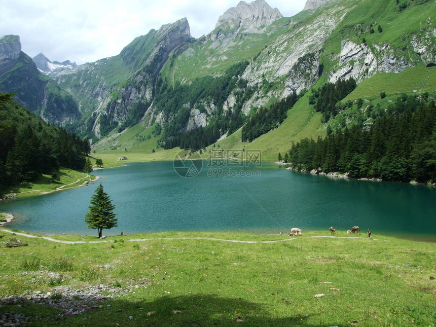 高山湖泊Seealpsee图片