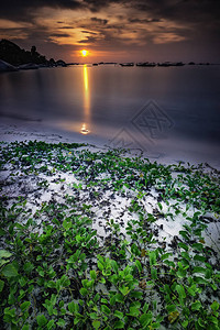 海滩的夜晚风景与日落图片