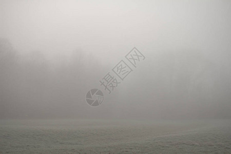 雾林美景图片