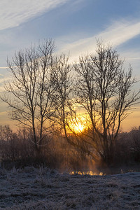 冬季景观的日落美景图片