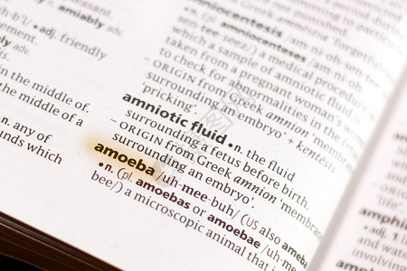 Amoeba字典中的单词或短语用背景图片