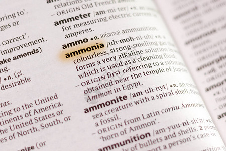 字典中的Ammonia一词或句用背景图片