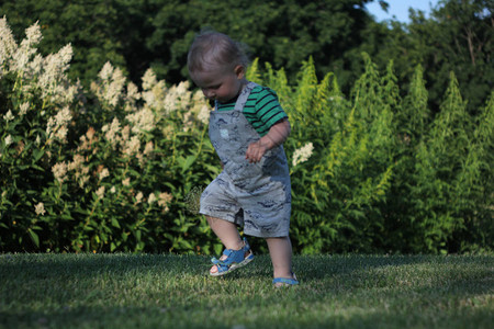 在日落时在草绿地上行走的婴儿幼男孩踩脚图片
