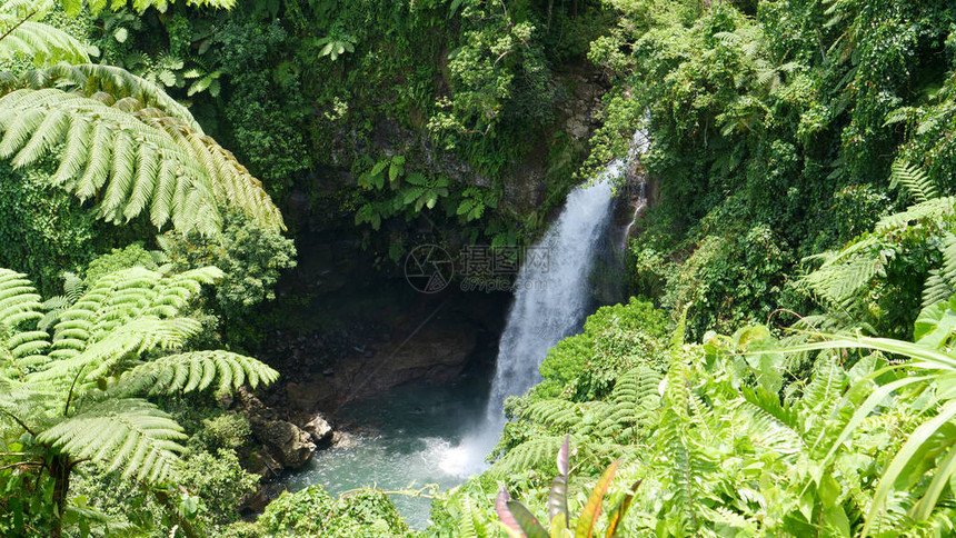 在热带荒野茂密的绿色植物后面隐藏着壮观的玻璃瀑图片