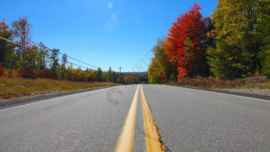 空荡的乡村公路穿过风景秀丽的色彩缤纷的森林图片