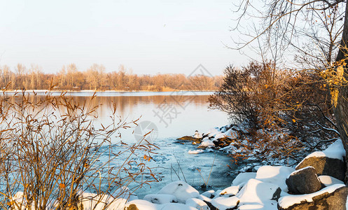 美丽的冬季风景湖水中的树木图片