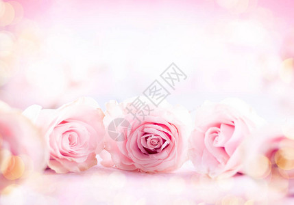 有粉红玫瑰的节日生活鲜花和玫瑰的成份图片