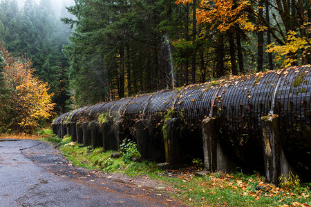12道锋味木质直径12英尺的管道背景