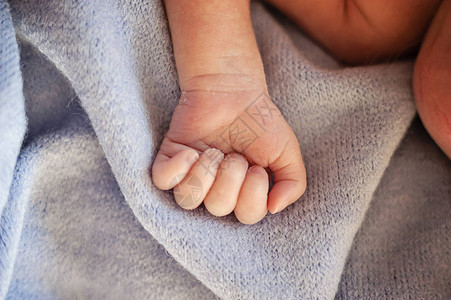 早产儿的手婴儿在保温箱里图片