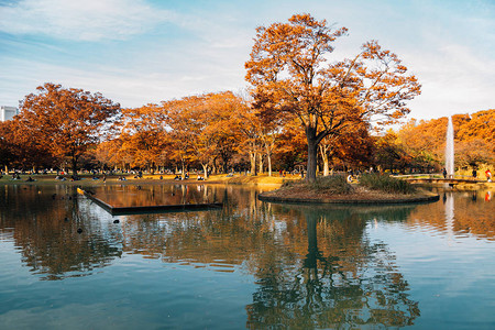 日本东京Yoyogi公园的图片