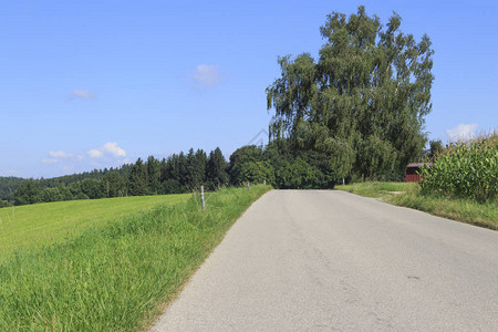 农村公路和绿地景观图片