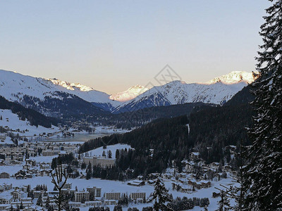 瑞士森林滑雪山坡的达图片