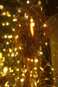 明亮的灯光和布凯虚拟设计圣诞和图片