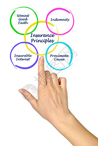 提出保险四原则图片