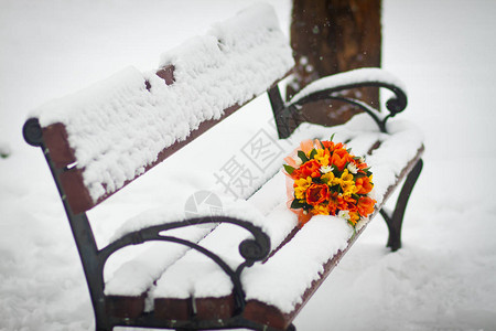 冬天在雪的长凳上在冬雪中用双叶背景图片