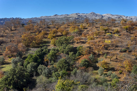 秋天Genal山谷的美丽风景图片