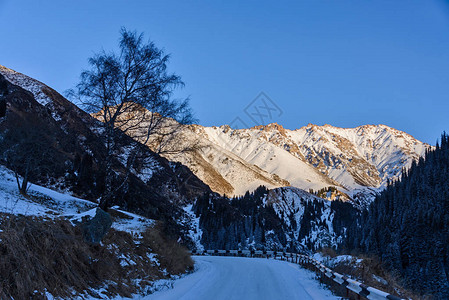 白天的雪山景观图片