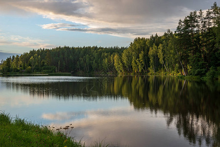 夏日宁静的湖水和岸边的绿叶图片