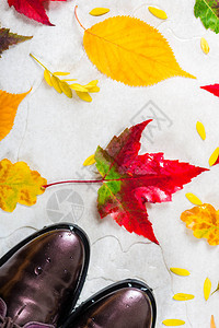 时尚皮革系带叶子的布洛克鞋图片