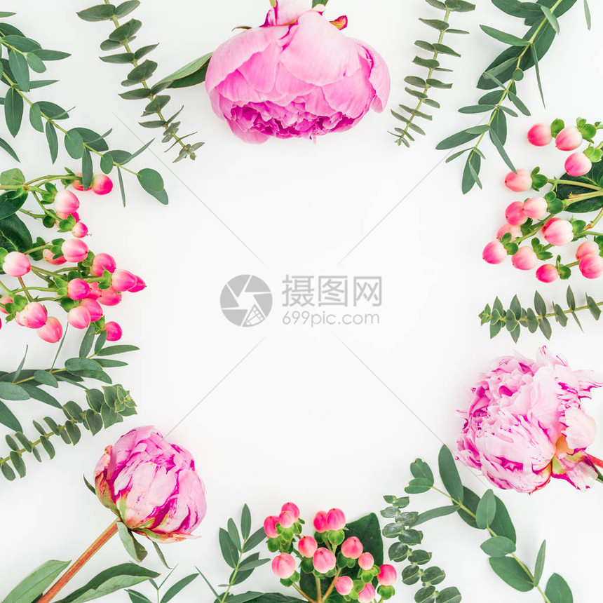 粉红色花朵的花丛白色背景上的超立方和叶树枝平图片