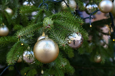 圣诞树是为圣诞节打扮的图片
