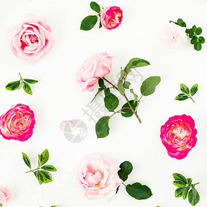 粉红玫瑰花在白色背景上被孤立的花朵平原顶部视图花纹图片