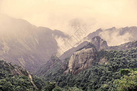 山地森林图片