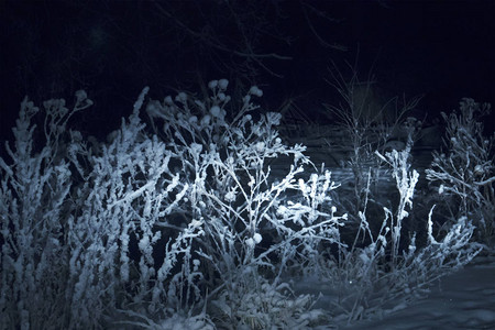 冬夜风景与冰冻的草地白光下图片