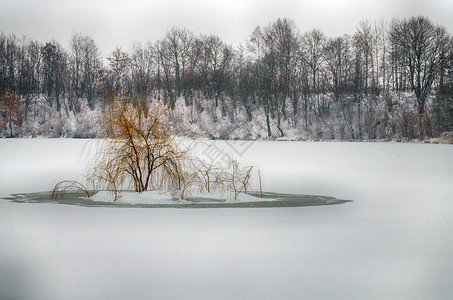 冬季风景与森林湖在恶劣天气图片
