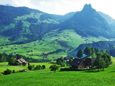 Obertogogenburg地区的农场和牧场图片